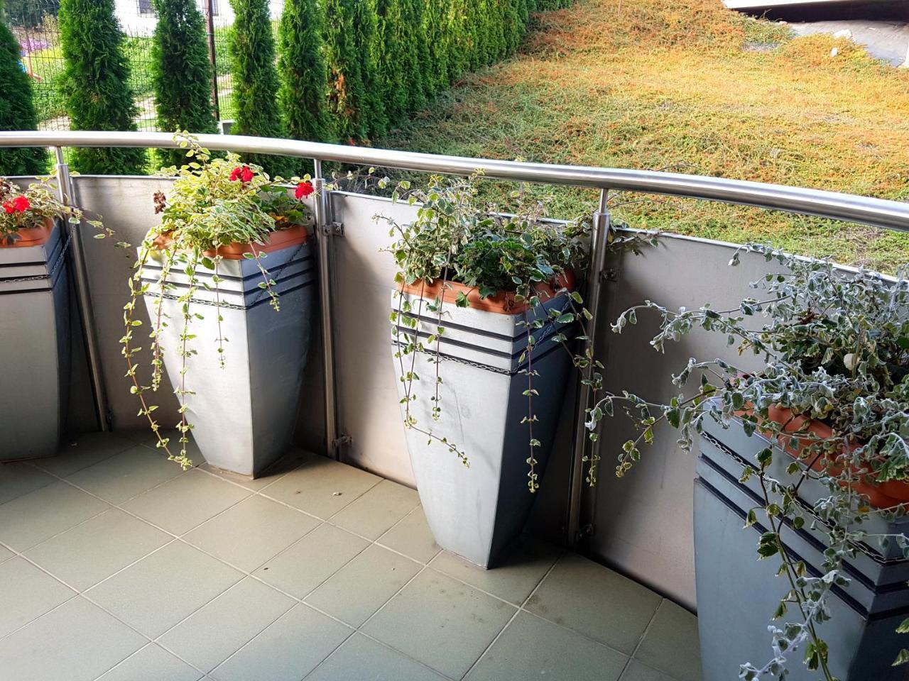 Aba Apartamenty Pilsudskiego 41 Krynica Zdroj Ngoại thất bức ảnh